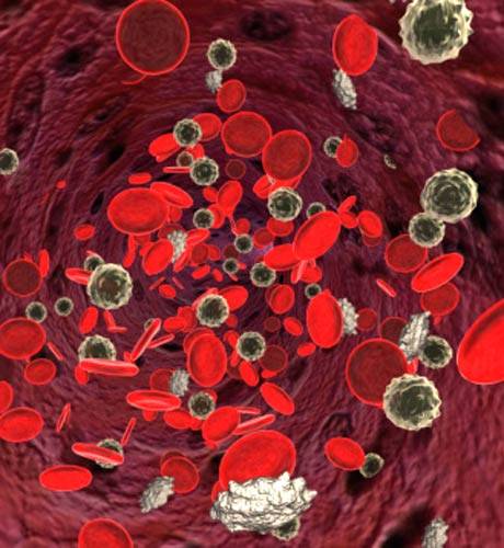 РИКАС Иммунодепрессанты RIQAS Immunosuppressant programme (4 параметра, 1 раз в месяц)