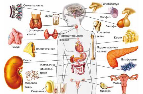 РИКАС программа по иммунологии (4 параметра из 55 на выбор, 2 раза в месяц)